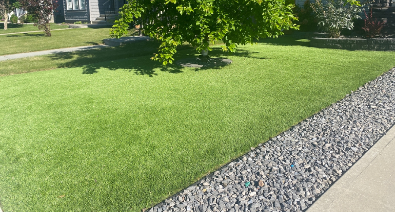 Commercial Artificial Turf in DFW Dallas Ft Worth